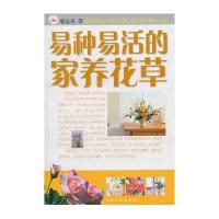 易种易活的家养花草