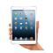 Apple iPad mini 银色 16G WLAN版 7.9英寸平板电脑 MD531CH/A