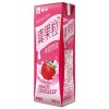 蒙牛(MENGNIU) 真果粒牛奶饮品（草莓）250g*12 礼盒装 （青春有你训练生助力版）