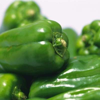 乐农优选 青菜椒 280g/份 绿色蔬菜