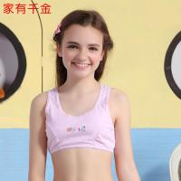 少女文胸 中小学生运动内衣 纯棉小背心发育期