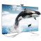 乐视TV（letv） 乐视超级电视letv Max70 70英寸 3D智能平板LED液晶电视 +云底座（4年服务费）
