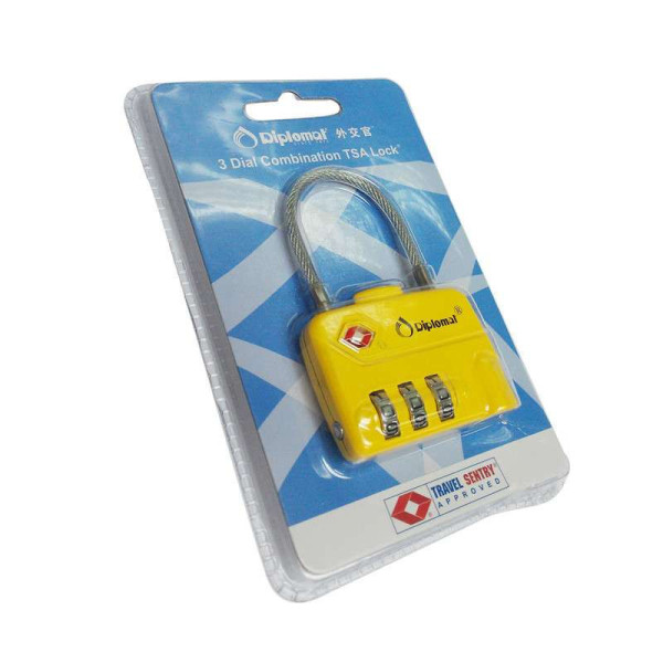 【外交官 (DIPLOMAT)箱包旗舰店箱包配件】D