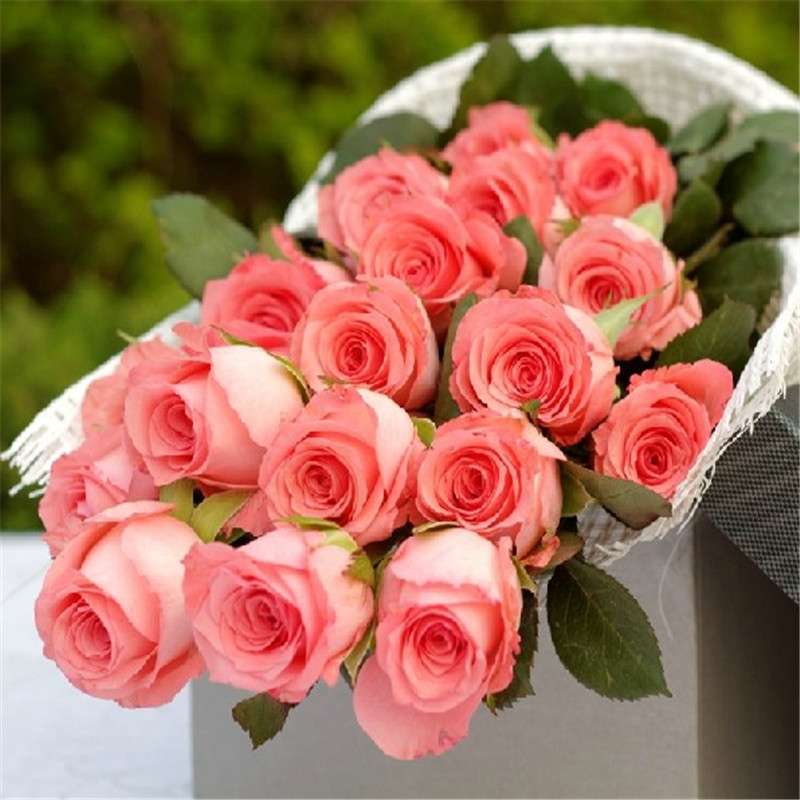 爱的印记 19朵粉玫瑰鲜花礼盒图片