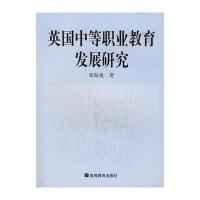 英国中等职业教育发展研究