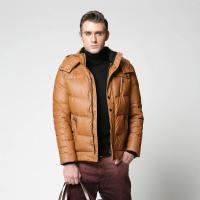 坦博尔羽绒服男明星款立领直摆面包大码休闲短