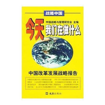 《今天我们在做什么:中国改革发展战略报告》