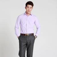 菲狮顿2015新款男长袖修身正装浅紫色衬衫纯