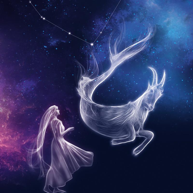 双鱼白羊金牛双子巨蟹狮子处女天秤天蝎射手摩