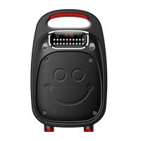 先科AY-t06大功率重低音响插卡外放音箱广场舞