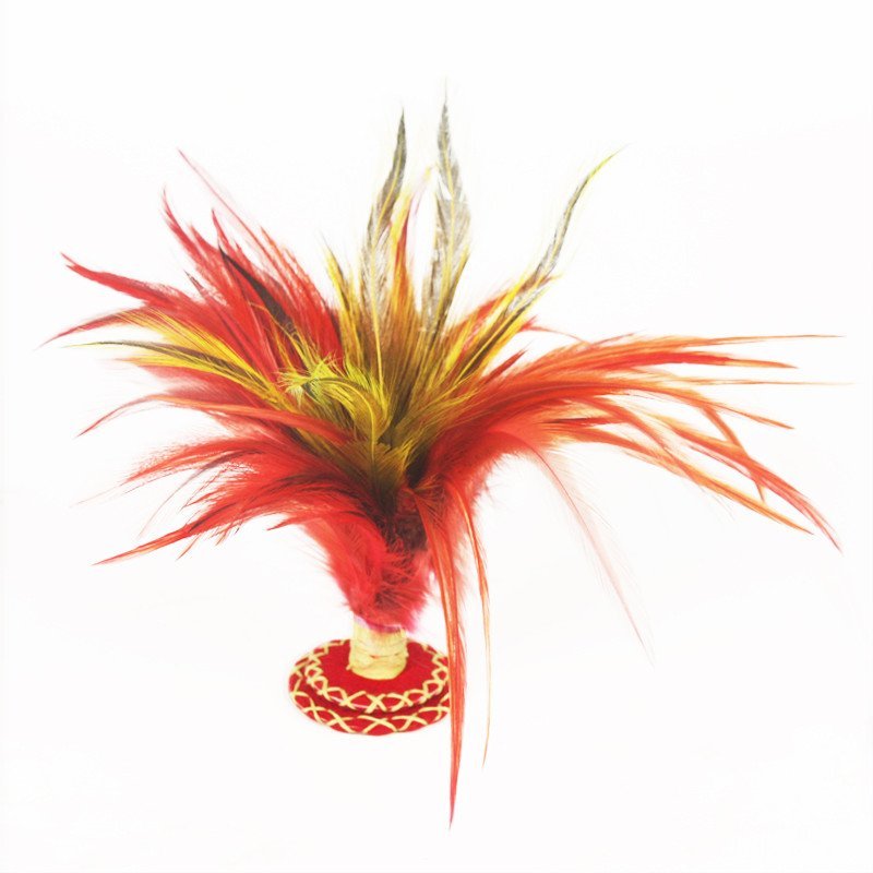 【大贸商(DMSbuy)系列】大贸商 鸡毛毽子花毽民间运动传统玩具 训练比赛毽子 AF25517 毽子(羽毛颜色随机)图片,高清实拍图-苏宁易购