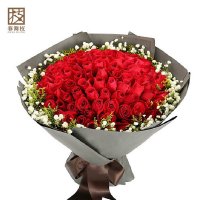 春舞枝 鲜花速递 99枝红玫瑰花束 求婚鲜花 创意礼品 生日礼物 七夕情人节礼物 全国配送【报价大全、价格、商铺】-苏宁易购开放平台