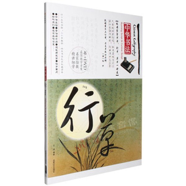 《中华书法行草书教程视频教材DVD碟片学王