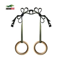 健身房家用体操吊环 引体向上倒挂健身器材拉