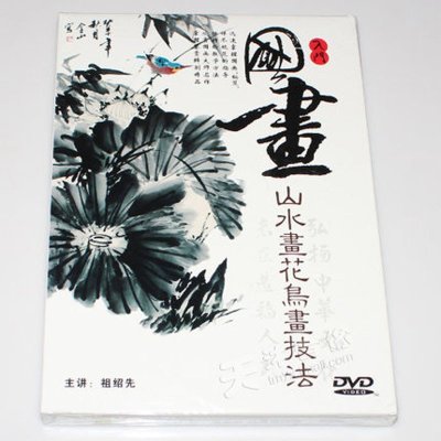 《国画基础入门山水画花鸟画技法初学教学视频