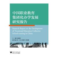 中国职业教育集团化办学发展研究报告