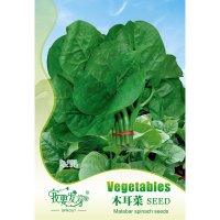我要发芽 蔬菜种子 木耳菜种子 多年生 耐高温耐