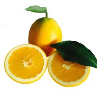 宾川纽荷尔脐橙 新鲜水果普通礼盒装