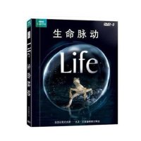 热卖正版现货 生命脉动 精装4DVD 2D9+2D5 