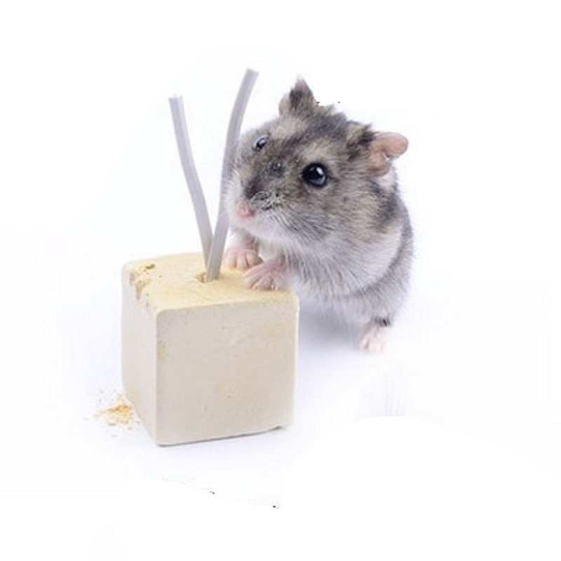 【正楷系列】小仓鼠 磨牙石 龙猫 松鼠 金丝熊 