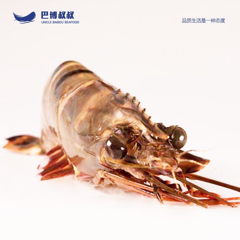 黑虎虾 越南进口海鲜冻品海产 海鲜水产