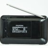 熊猫(PANDA)DS-172 插卡音箱 黑色