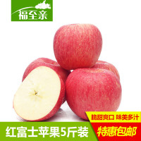 山东特产烟台栖霞红富士苹果5斤 新鲜时令水果