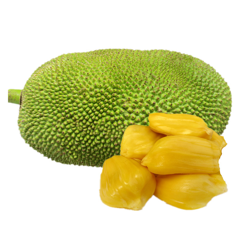 【七果果系列】七果果 海南菠萝蜜19斤 树菠萝