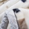 沿蔻 双层工艺毛毯 婚庆盖毯加大加厚 拉舍尔毛毯 保暖秋冬礼品毯子 180×220cm约5.6斤 天赐良缘1
