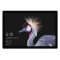 Surface Pro FJZ-00009 256GB-8GB I7主机