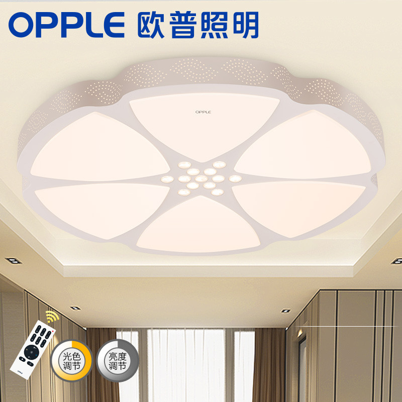 欧普照明（OPPLE） LED圆形客厅卧室水晶吸顶灯具 调光调色 简约现代风 【梦幻星河】LED遥控调光调色直径65cm立体花朵造型