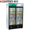 睿美（Ruimei）商用饮料柜 冷藏柜冰柜 饮品超市冷柜 双门绿黑色 直冷