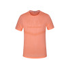赛琪 短袖T恤男夏季圆领 健身薄款速干运动短袖T恤116465 桔红 M