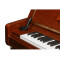 公爵钢琴E系列 皇室演奏用琴 123E 栗色亮光 立式钢琴 专业钢琴 栗色