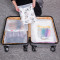 旅行收纳袋衣服衣物内衣整理密封袋行李箱分装透明家用防水打包袋_2 仙人掌中号+大号+特大各4个