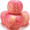 红富士苹果 山东烟台栖霞 水果吃的新鲜苹果 糖心胜阿克苏 2.5KG