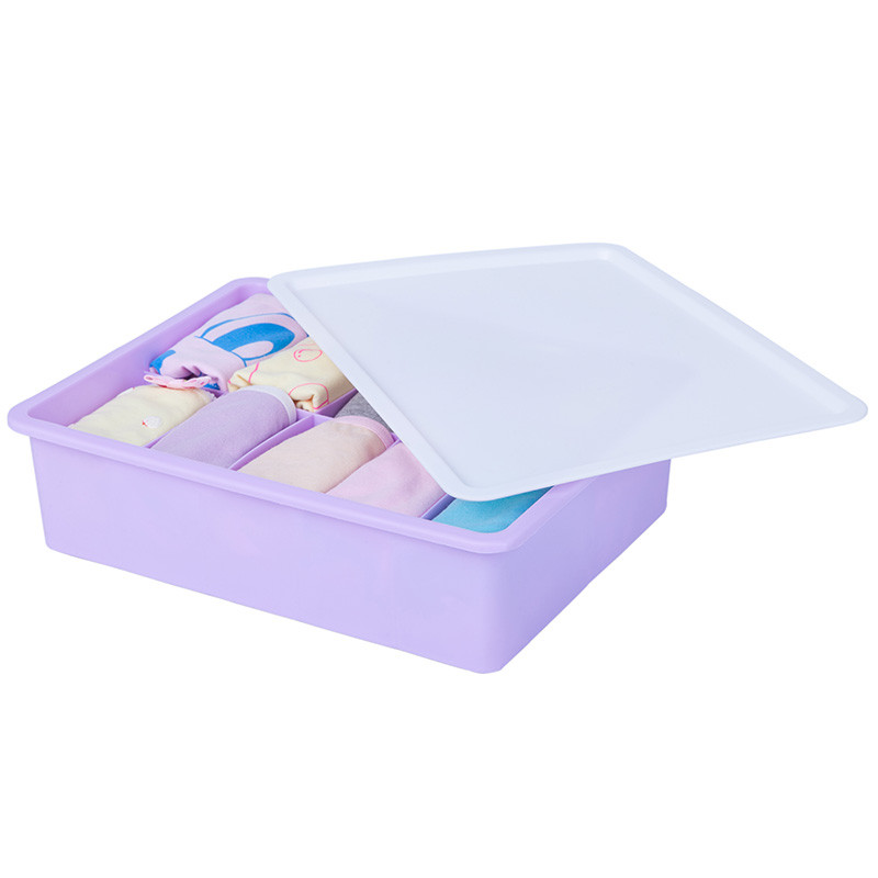 内裤内衣收纳盒塑料有盖整理箱大容量化妆品盒多功能分格袜子盒子_2 10格紫色1个+1盖子