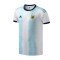【自营】阿迪达斯男服短袖T恤美洲杯阿根廷主场运动服DN6716 L DN6716白+浅水蓝