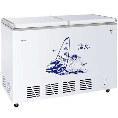 海尔冷柜BC/BD-220SH(JDXX)