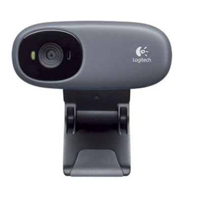 罗技摄像头C110(灰)(960-000757)