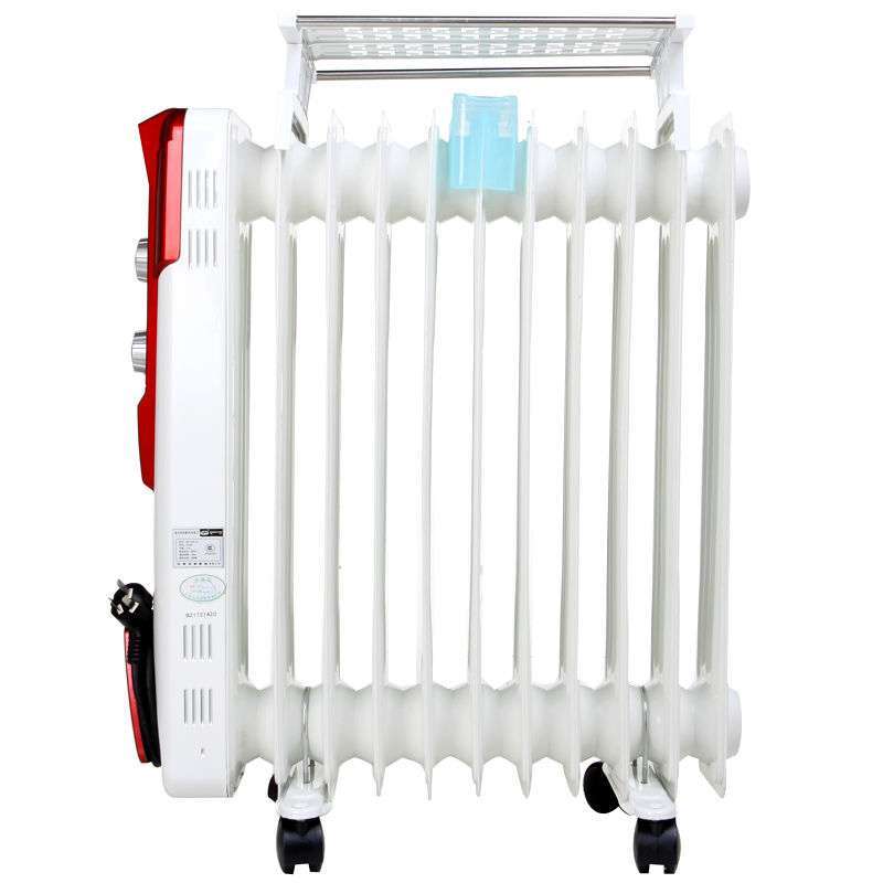 先锋(singfun)油汀DS1031