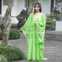 春夏季古装演出服古代改良女性汉服 影楼摄影典雅古装主题服装 齐胸襦裙女装古典舞蹈服装套装; 均码适合身高160-170cm 荧光绿【专卖店、旗舰店、报价大全】-苏宁易购开放平台