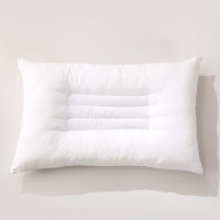LOVO TG-决明子荞麦舒睡枕 VPB7312-6 草本枕 助眠 舒心 白色 47cm*73cm