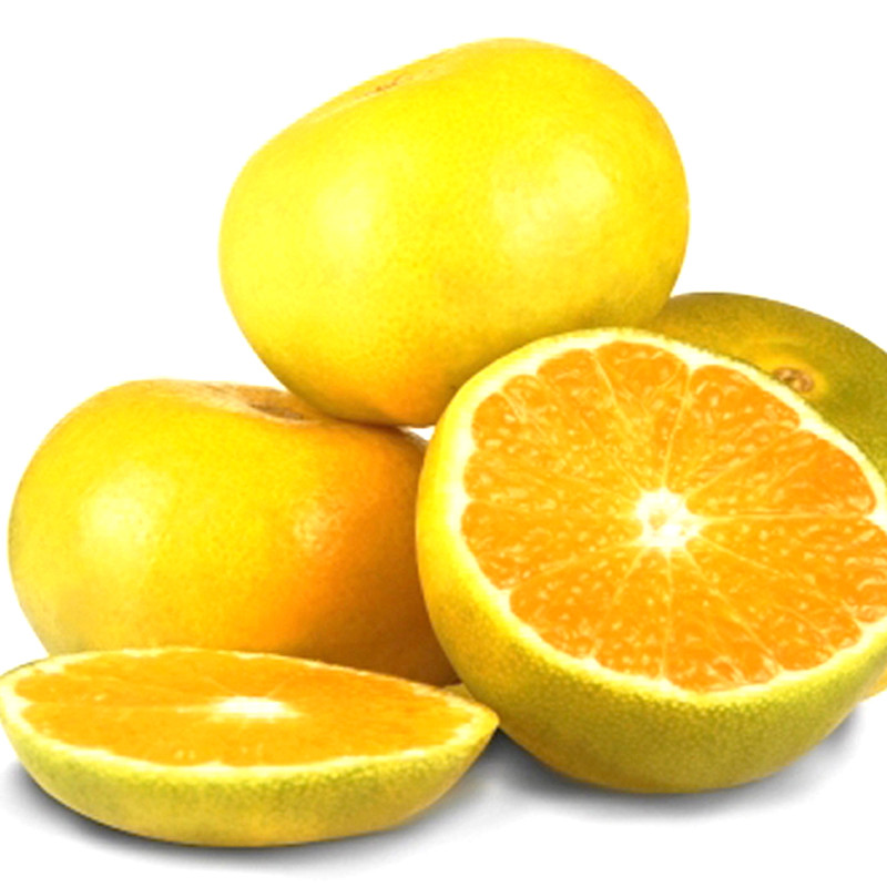 【中华特色馆】从化馆 先一新鲜水果 新鲜上市