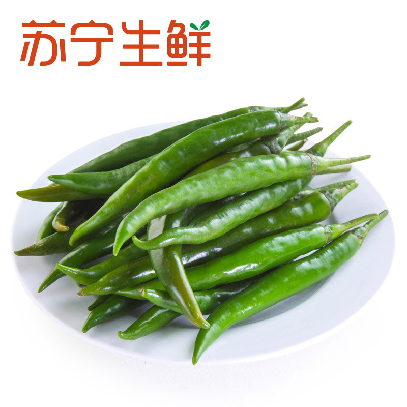 【苏宁生鲜】精选青美人椒300g 辣椒 禽蛋蔬菜