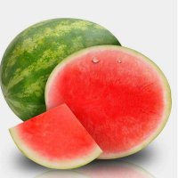 兰考馆兰考特产沙土地铁棍山药豆山药蛋零余子