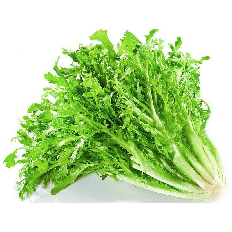 七果果 苦苣 2斤 蔬菜色拉 苦叶生菜 新鲜蔬菜 as图片