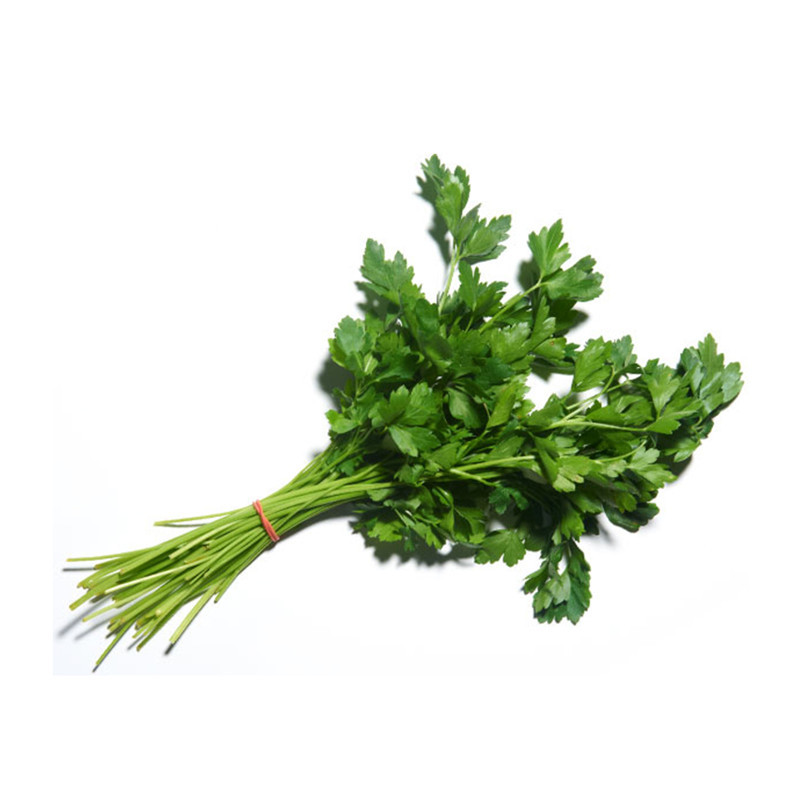 正常发货】意大利芹250g 细叶芹 欧芹 巴西里香