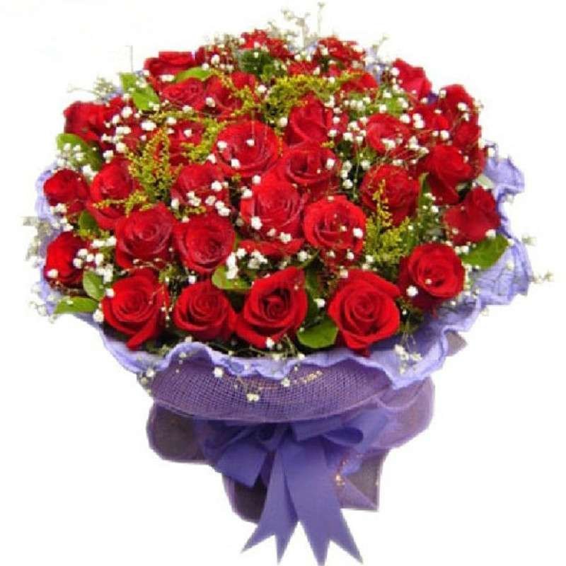 五二零 情人节鲜花速递全国 33只红玫瑰鲜花礼物 生日鲜花花束 同城