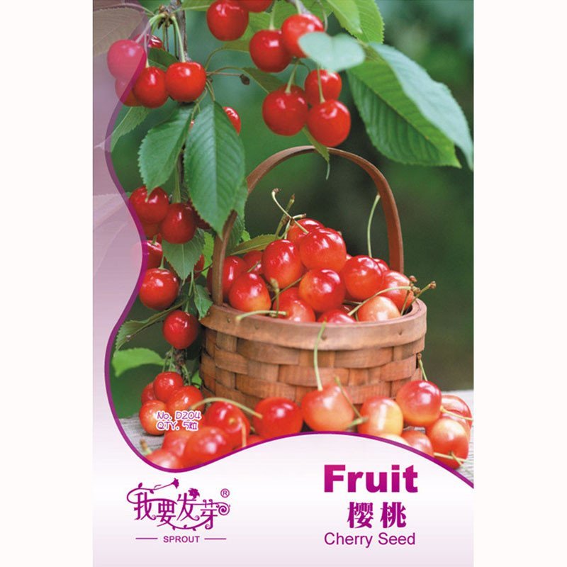 我要发芽 多年生果树种子 樱桃种子 车厘子 莺桃